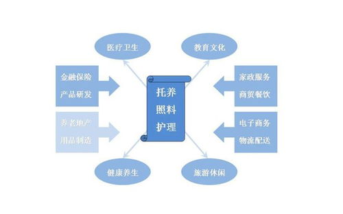 互聯(lián)網(wǎng) 養(yǎng)老服務(wù)信息化的新生力量與未來展望